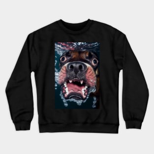 Dogs in Water #4 Crewneck Sweatshirt